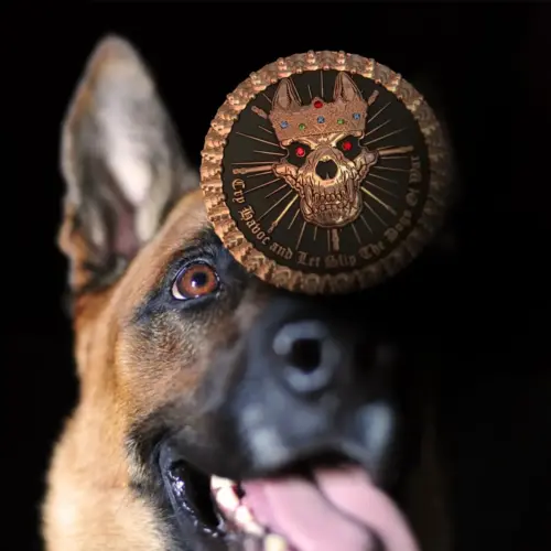 MWD-Challenge-Coins